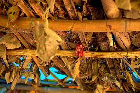 The Unidentified Bangles